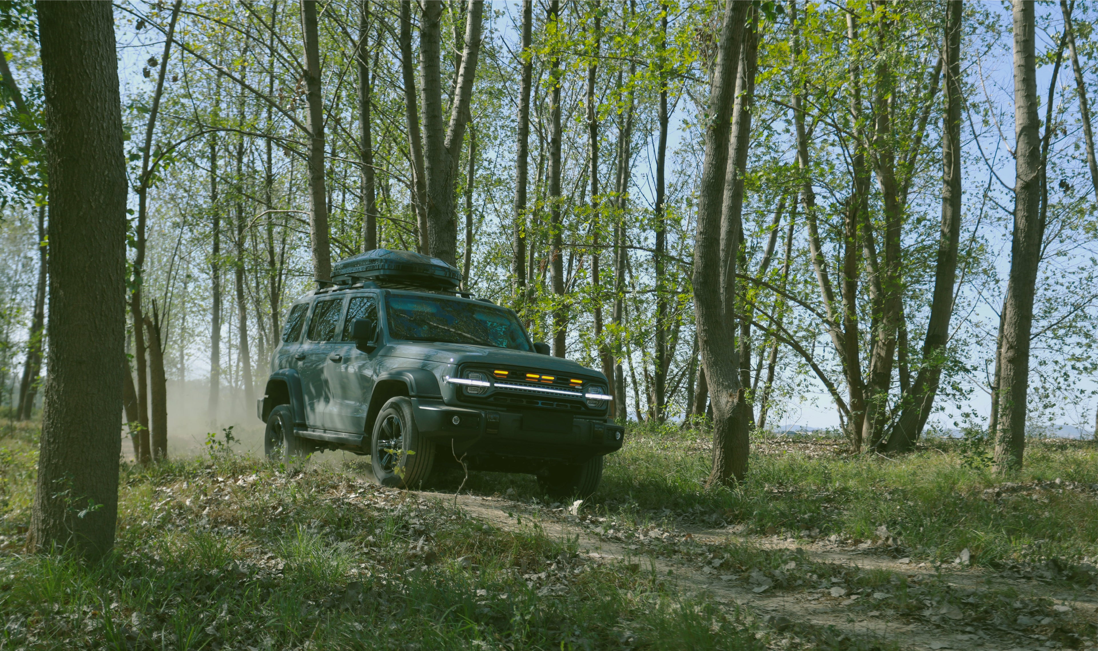 Roof Rack Cargo Box